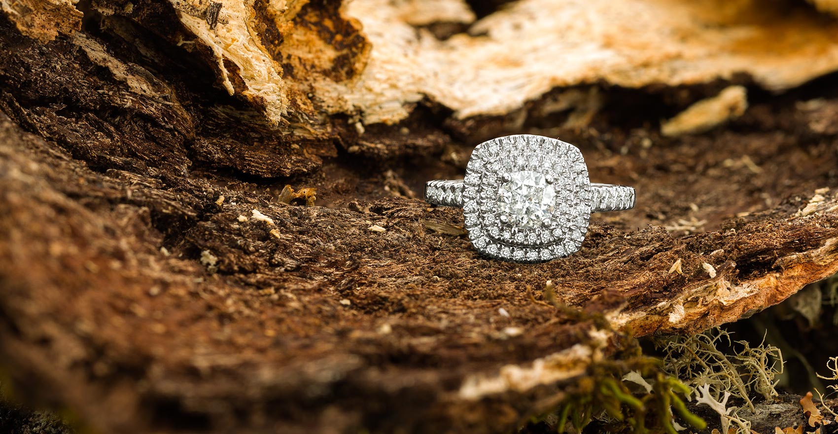 Diamond ring in a wood and moss setting