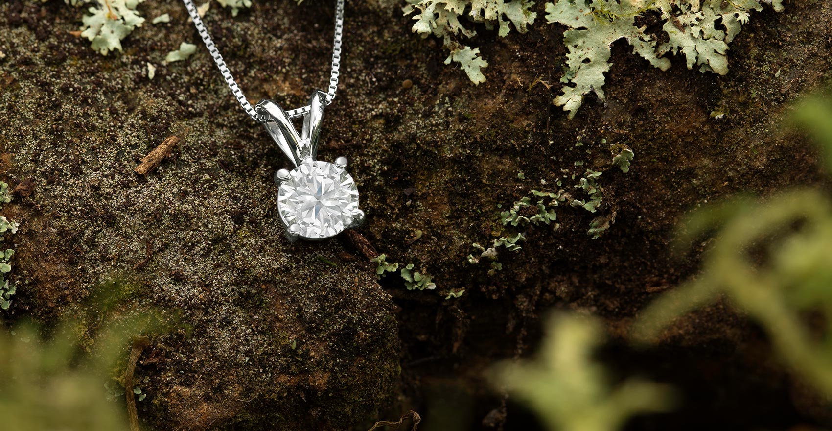Diamond necklace on a stone and moss background
